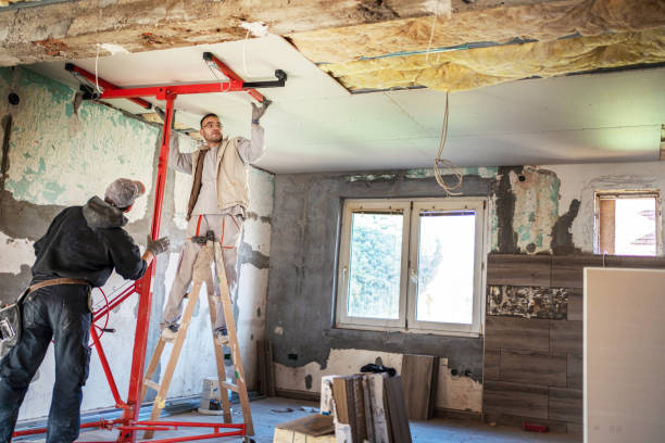 Best Cellulose Insulation in Oak Grove Heights, AR